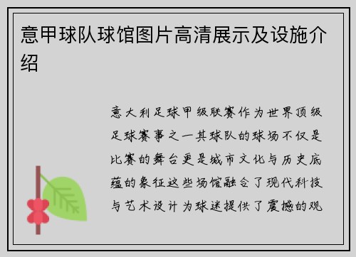 意甲球队球馆图片高清展示及设施介绍