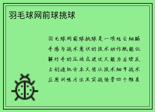 羽毛球网前球挑球